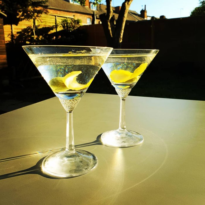 Dry Martini Tarifi görseli