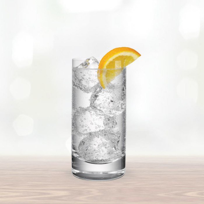 Vodka And Tonic Tarifi görseli