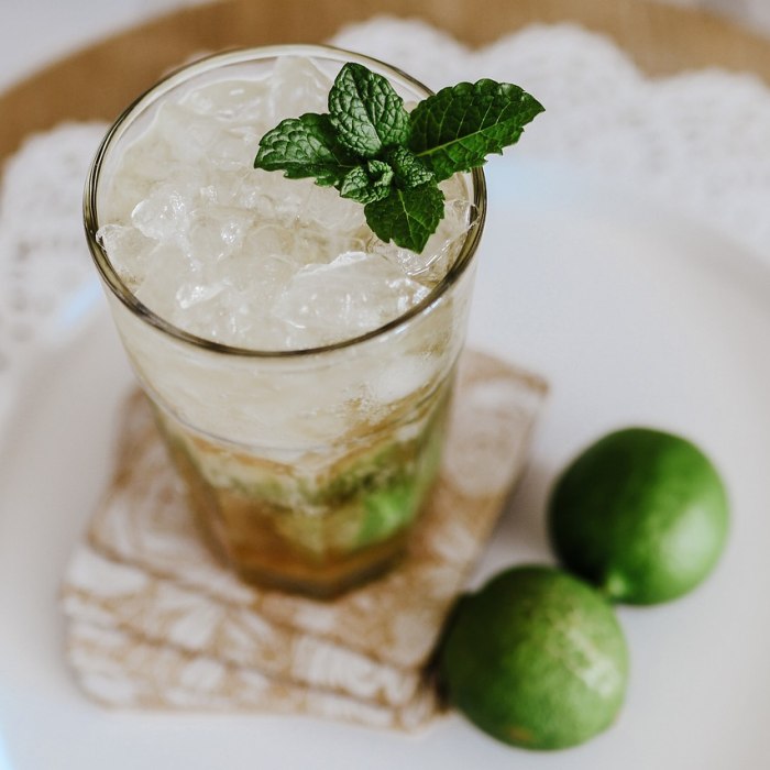 Mojito Tarifi görseli